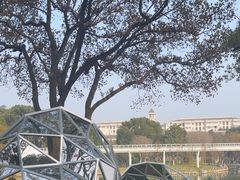-昆山城市公园
