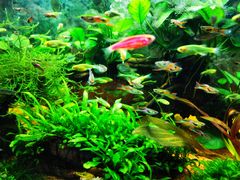 -双季花艺园艺市场(浦东店)