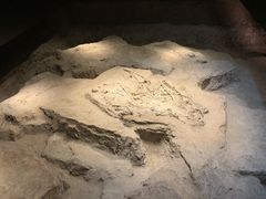 -侵华日军南京大屠杀遇难同胞纪念馆