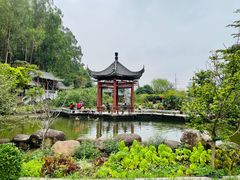 -广州神农草堂中医药博物馆