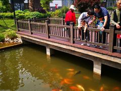 -枫香湖儿童公园