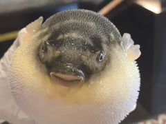 -永安鱼庄·镇江菜(丁卯店)