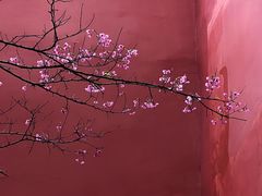 -乌山风景区