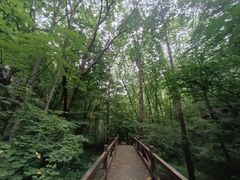 -赤山风景区