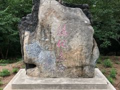 -滨河世纪广场公园