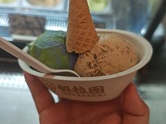 -极拉图·现制冰淇淋(大卫城店)