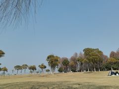 -漕湖湿地公园