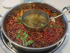 -蛙两只美蛙鱼头火锅(恒茂店)