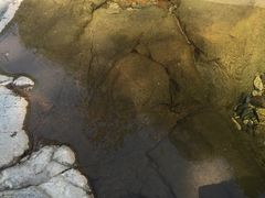 -浙北大峡谷