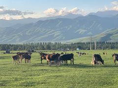 -新疆那拉提国家旅游度假区