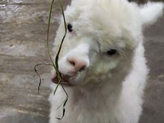 -上海大自然野生昆虫馆