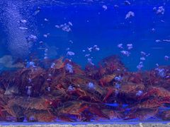 -鲜味食族水产·海鲜餐厅