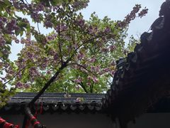 -寒山寺