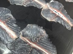 -京门活鱼馆·鱼火锅(百子湾（原红庙）店)