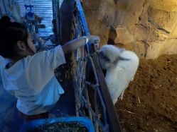 -酷嗒动物文化乐园(cutezoo西溪乐天城店)