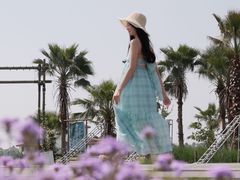 -空港花田景区