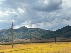 -天女山森林公园