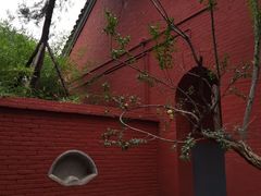 -洛阳白马寺