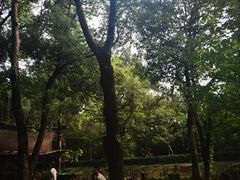 -WeLope紫金山探险公园