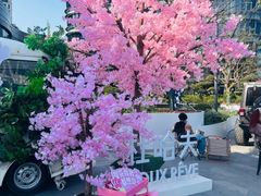 -北外滩滨江绿地