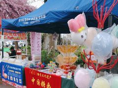 -南汇桃花村