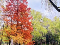 -洛阳市隋唐城遗址植物园