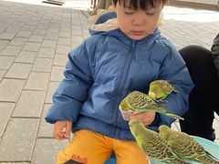 -1982农场