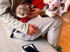 -猫儿山۰猫主题餐厅