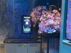 -方糖KTV-PLUS(世茂广场店)