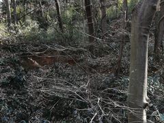 -句容茅山景区