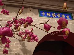 -红螺寺
