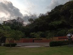 -香港大学