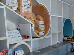-极橙儿童齿科矫正中心(奥城店)