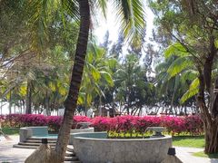 -海南清水湾莱佛士酒店