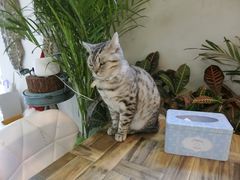 -小时光咖啡馆(北锣鼓巷店)