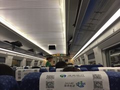 -东郊椰林
