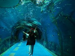 -波塞冬旅游度假区