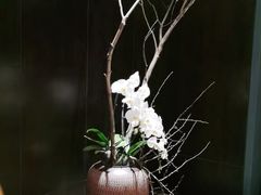 -湖滨客舍·湖北菜