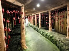 -天门沟九州驿站树上汤泉