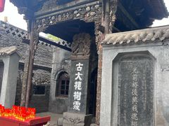 -大槐树寻根祭祖园