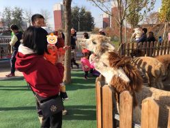 -萌宠亲子动物乐园(槐房万达店)