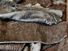 -周老三跷脚牛肉·全牛火锅(非遗传承店)