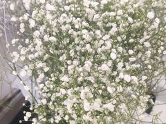 -雪蔓之鲜花气球派对(家佳源时代中心店)