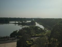 -大湾区中央湿地公园