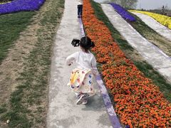 -南通洲际绿博园