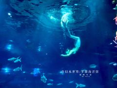 -福州罗源湾海洋世界旅游区