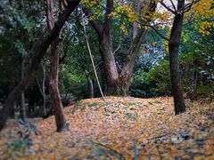 -穹窿山景区
