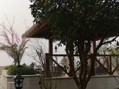 -苏州湾·王焰温泉