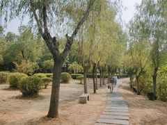 -艾溪湖湿地公园