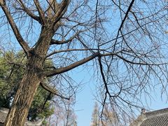 -成都市文殊院